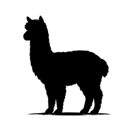 JidenClub