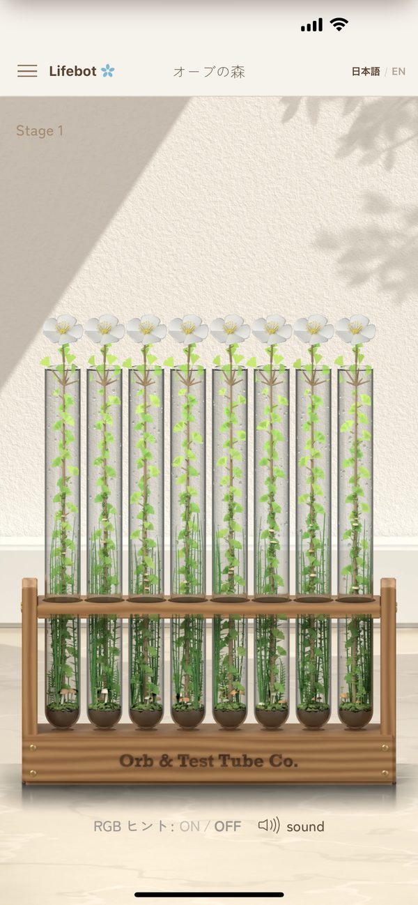 8本の木の先に、白い花が咲いた画面